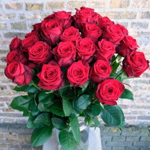 dscf0375_2046061383